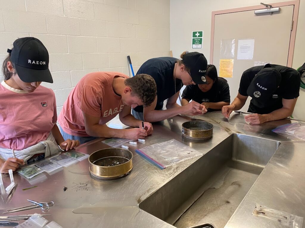 Environmental studies undergraduates sort and classify specimens from the Detroit River.
