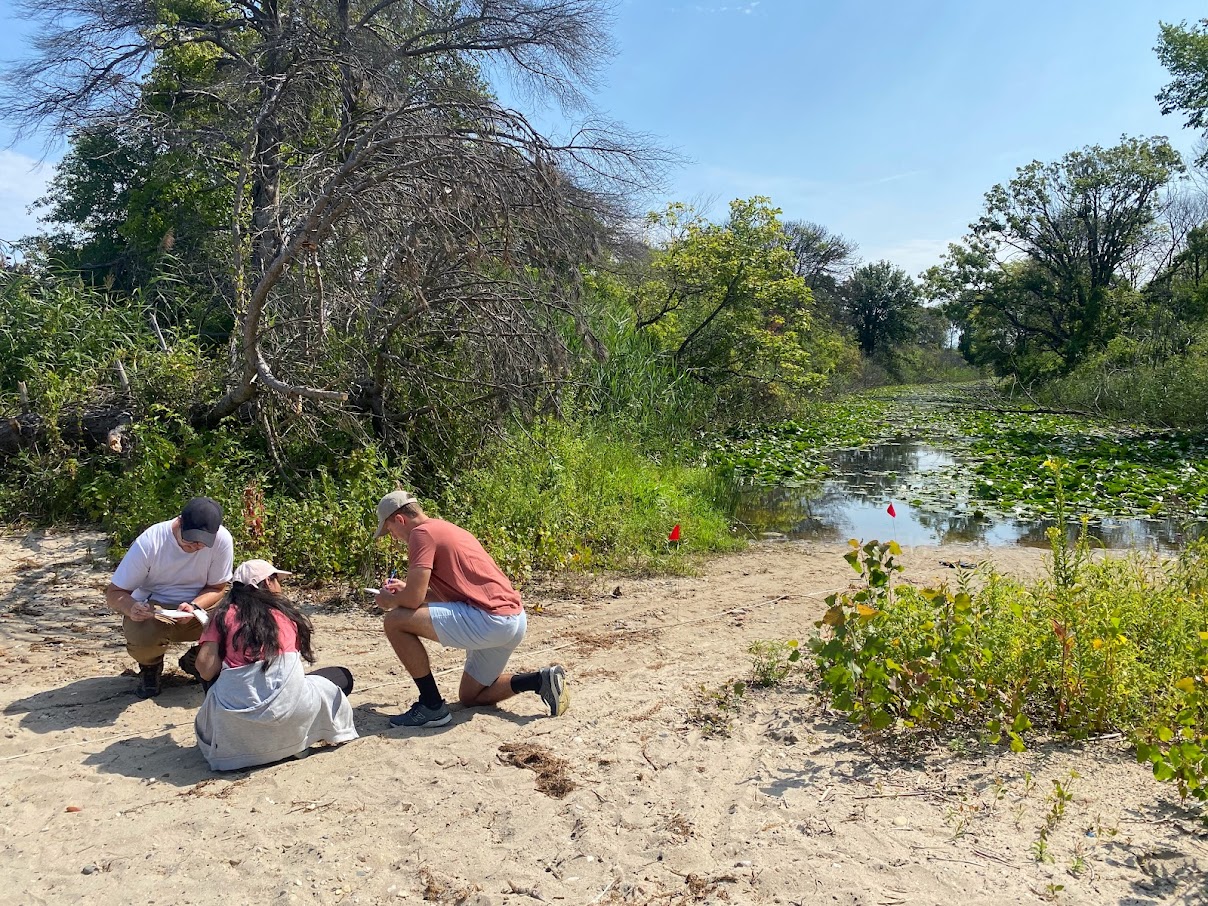 Students Brian Kountourogiannis, Rucha Patel, and Ryan Gilham set up transects to collect samples on Peche Island.